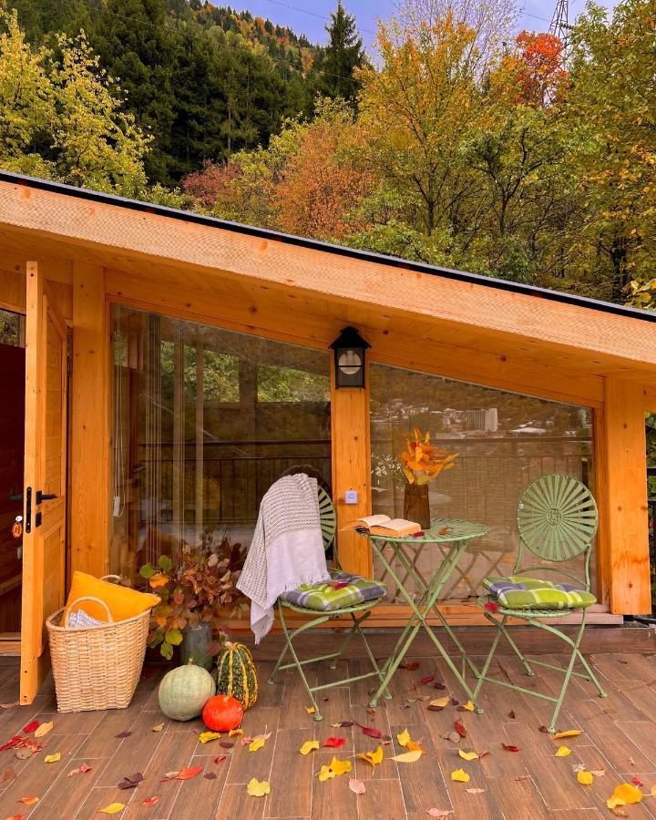Hotel Borjomi Verde * بورجومي