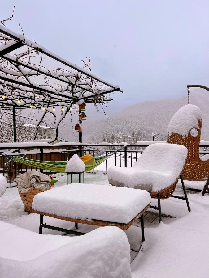 Hotel Borjomi Verde Hotel *