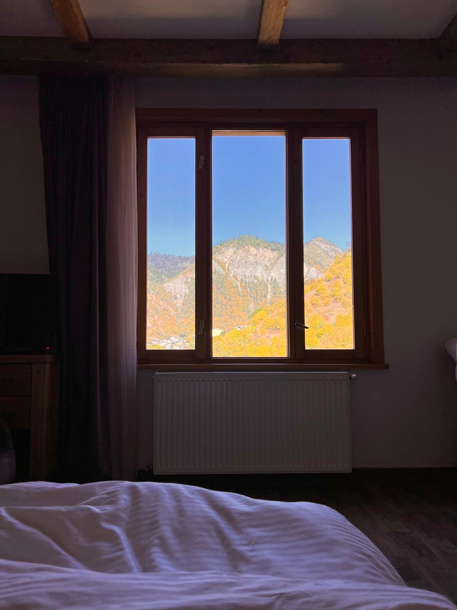 Hotel Borjomi Verde Borjomi
