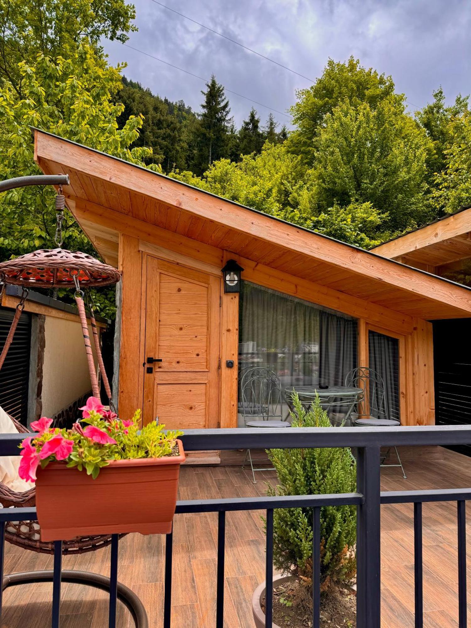 Hotel Hotel Borjomi Verde *